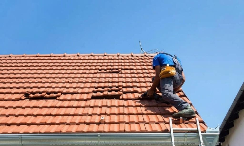 Dakreparatie En Verzekering Enschede