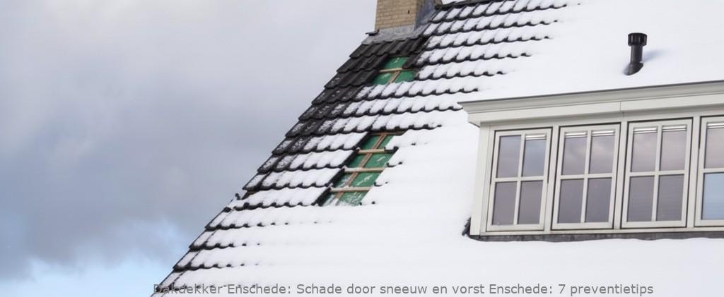 Schade Door Sneeuw En Vorst Enschede
